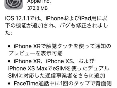 iOS12.1.1にアップデートしてLTE接続に不具合があるユーザーがいるようです。