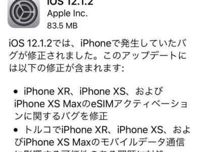 iOS12.1.2で通信回線につながらない