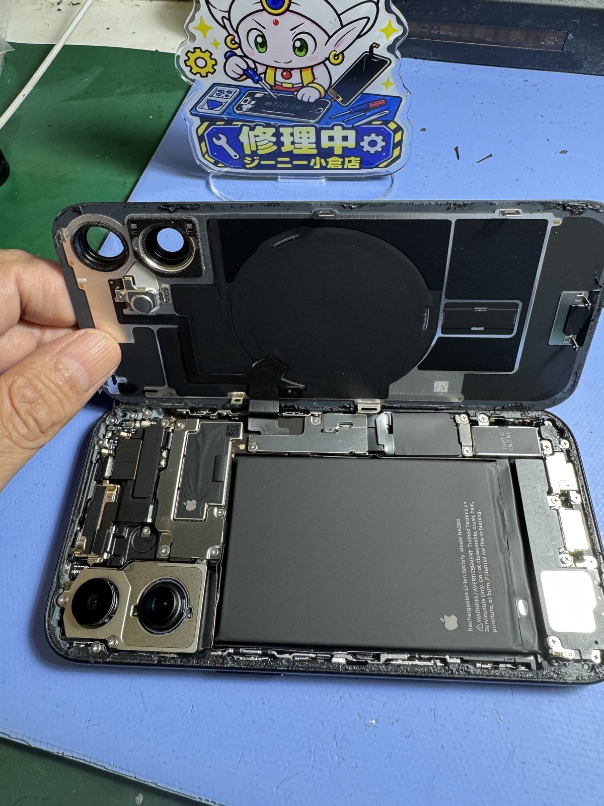 背面パネルを開いて分解したiPhone 16